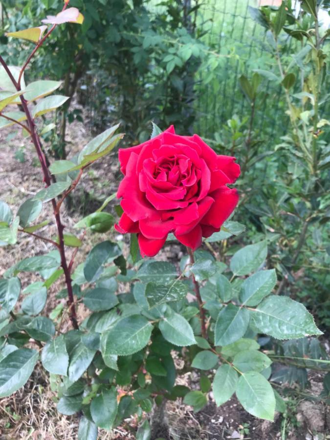 Casa Lory 포지오 무렐라 외부 사진